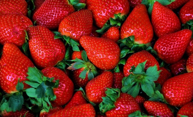 La fraise sera mise à l&rsquo;honneur par le Canada