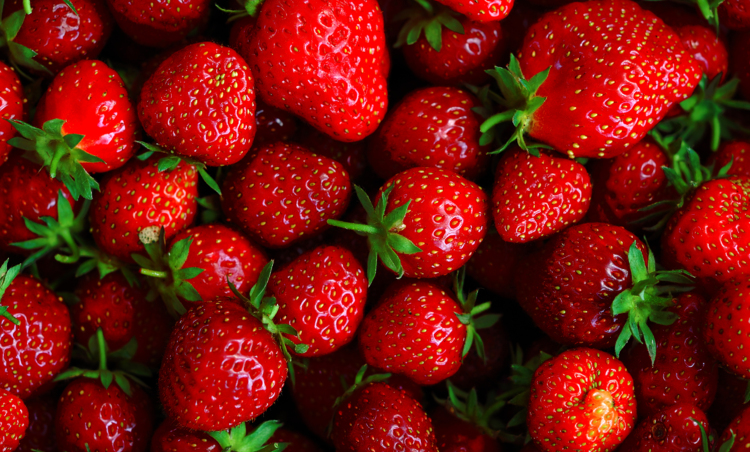 Les fraises biologiques seraient plus nutritives ?