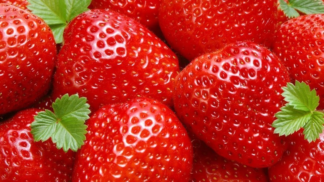 De l&rsquo;huile de cannabis pour conserver les fraises ?
