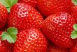 Les emballages bioactifs prolongent la durée de conservation des fraises
