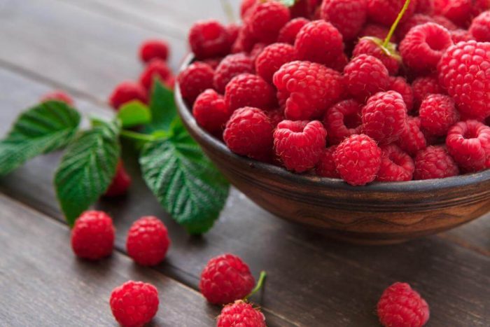 Pays-Bas : les importateurs trouvent les framboises marocaines meilleures