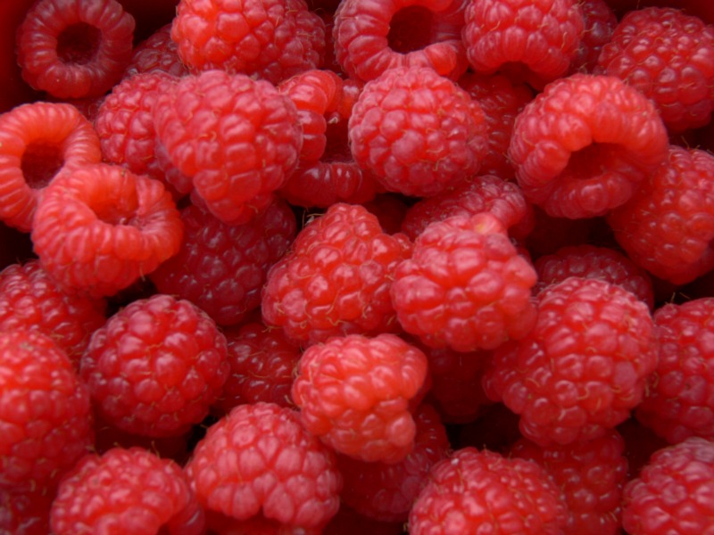 Des framboises en provenance du Maroc sur le sol américain?