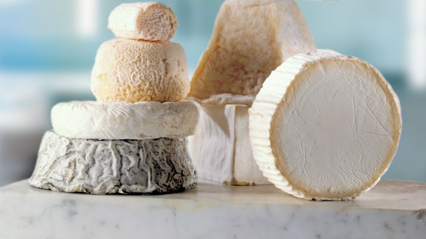 Rhamna : lancement de la première fromagerie de chèvre