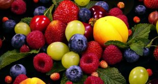 Le Kazakhstan brigue la première place des exportations de fruits et de baies