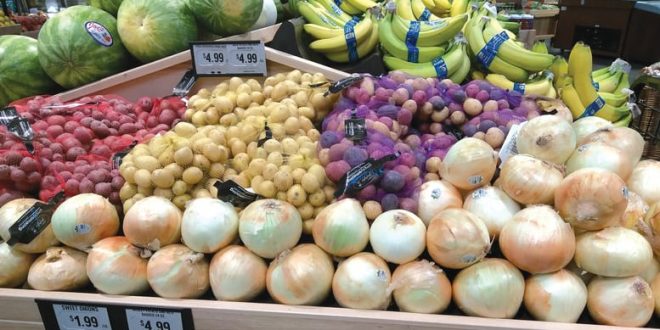 L-Égypte-exporte-de-plus-en-plus-d-oranges-d-oignons-et-de-raisins