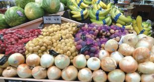 Forte-demande-des-fruits-et-légumes-marocains-en-Afrique-de-l-Ouest