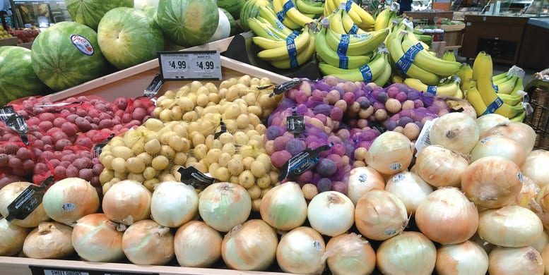 L&rsquo;Arabie saoudite souhaite investir davantage dans l&rsquo;agriculture en Afrique