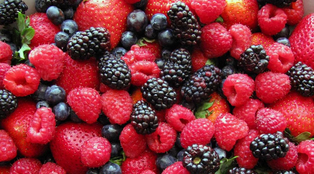 Maroc : Les exportations de fruits rouges augmentent de 24% malgré le Covid-19