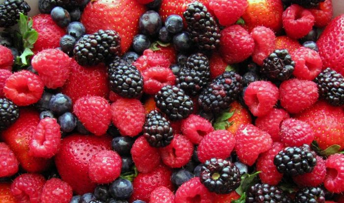 Tanger-Tétouan-Al Hoceima : la superficie des fruits rouges atteint 5.000 ha