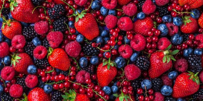 Fruits rouges frais Allemagne augmente ses importations depuis le Maroc