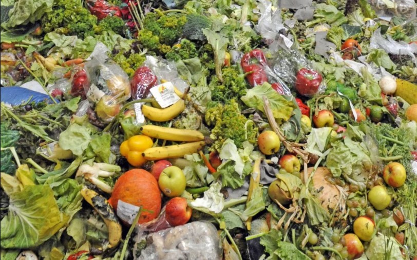 L&rsquo;intelligence artificielle pourrait réduire le gaspillage alimentaire de 50%