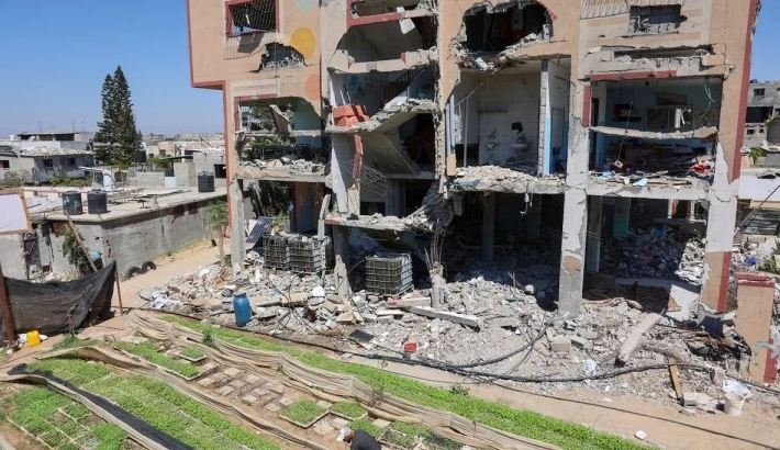 A Gaza l&rsquo;agriculture refuse de mourir