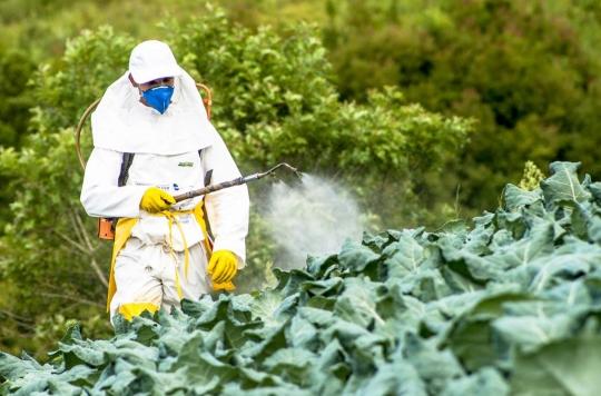 France : de nouvelles restrictions sur le glyphosate dans l&rsquo;agriculture