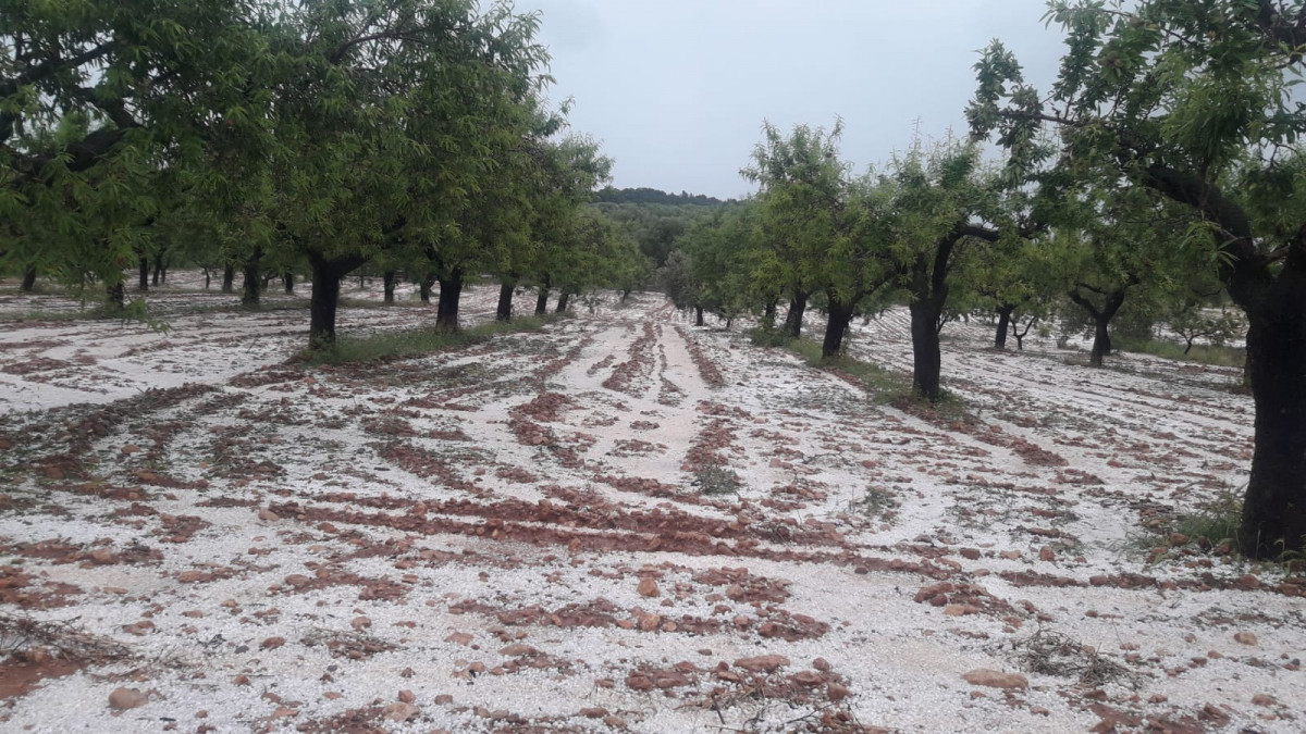 Fortes pluies, neige et froid annoncés : plusieurs régions agricoles du Royaume sous vigilance orange jusqu’à dimanche