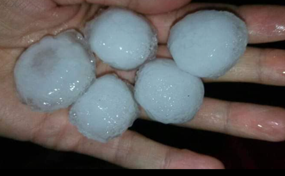 Saiss: Une tempête de grêle cause de lourdes pertes