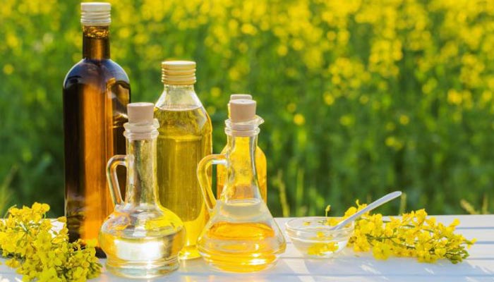 البذور الزيتية: كيف يمكن للمغرب أن يتخلص من اعتماده على الواردات؟