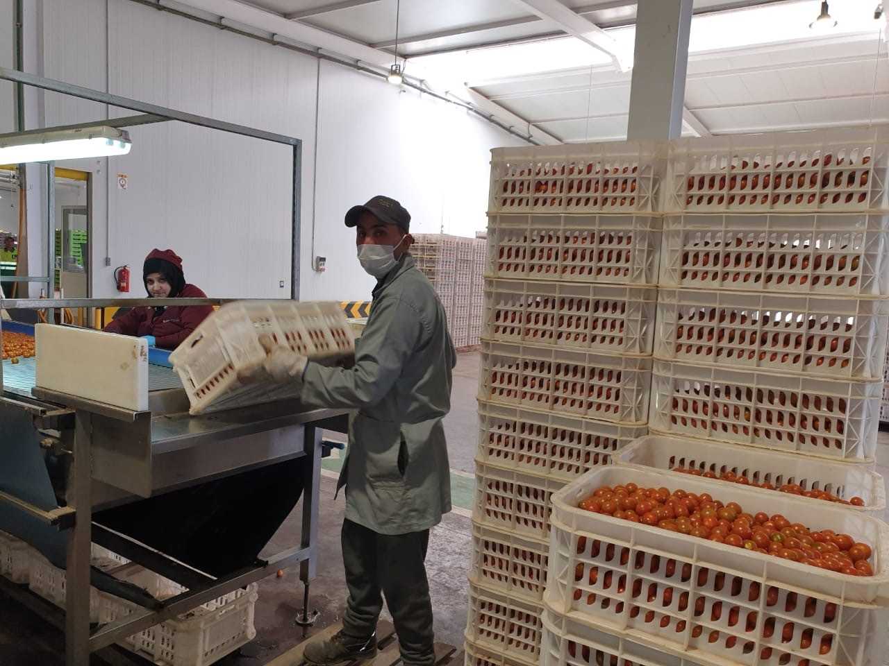 Covid-19: L&rsquo;autosuffisance alimentaire permet au Maroc de tenir