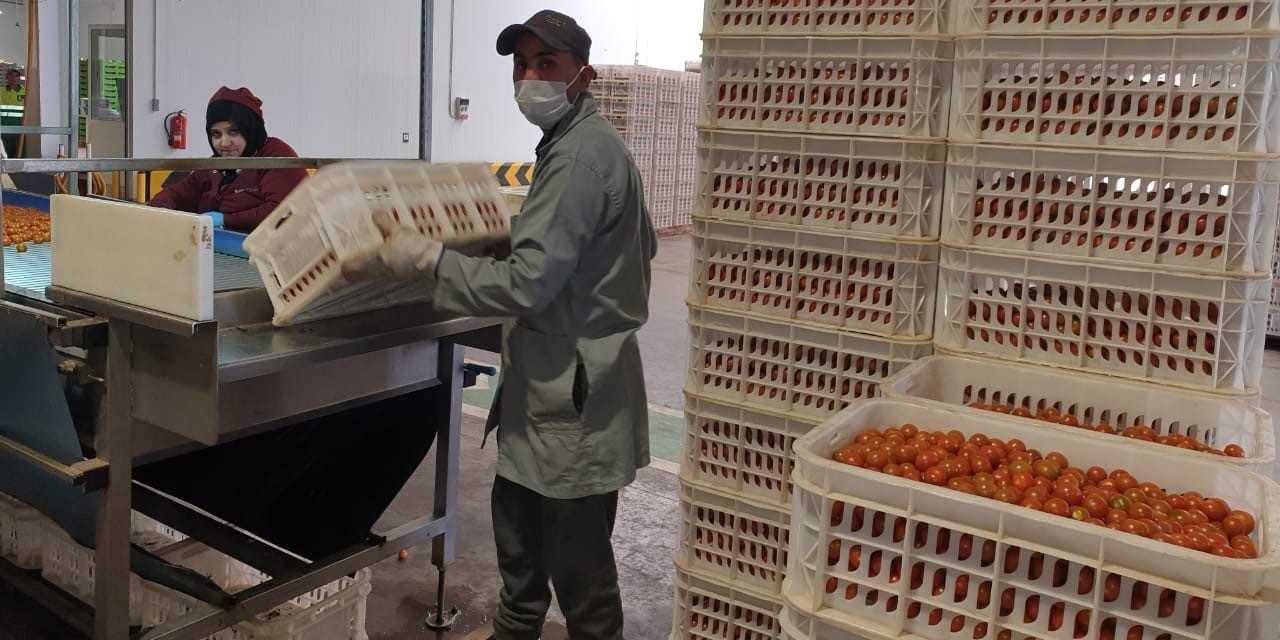 Covid-19: L’hygiène est de rigueur chez les opérateurs du secteur agricole