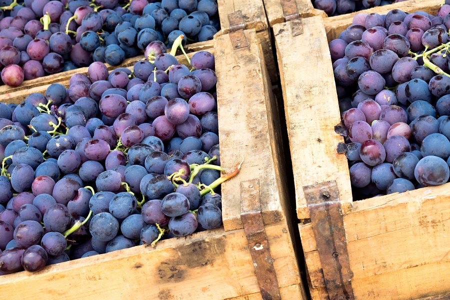 iStock 510460933 caja uvas