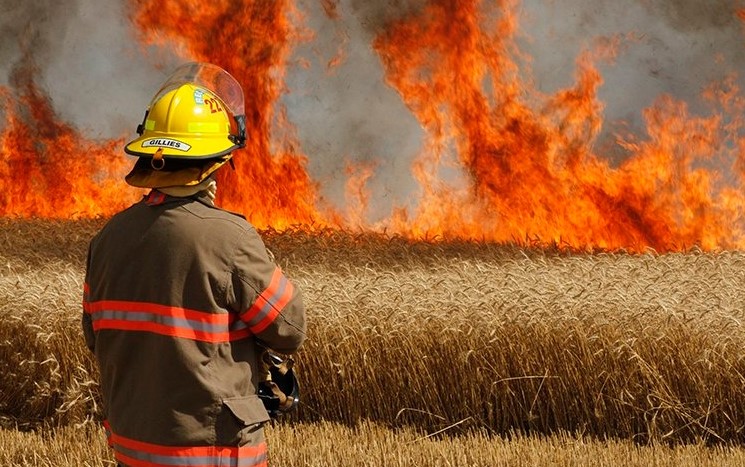 Berrechid : un incendie ravage les récoltes de céréales