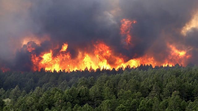 Incendie de 12 ha de végétation à Al Hoceima