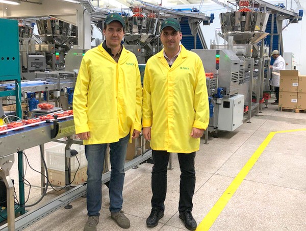 AZURA se dote de la plus grande usine de conditionnement automatique de tomates cerises au monde