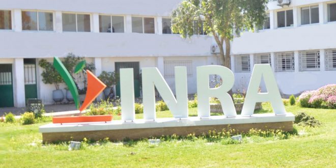inra_maroc_siege