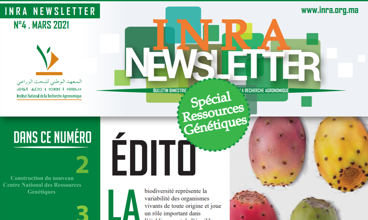 INRA : La 4ème édition de la Newsletter vient de paraitre