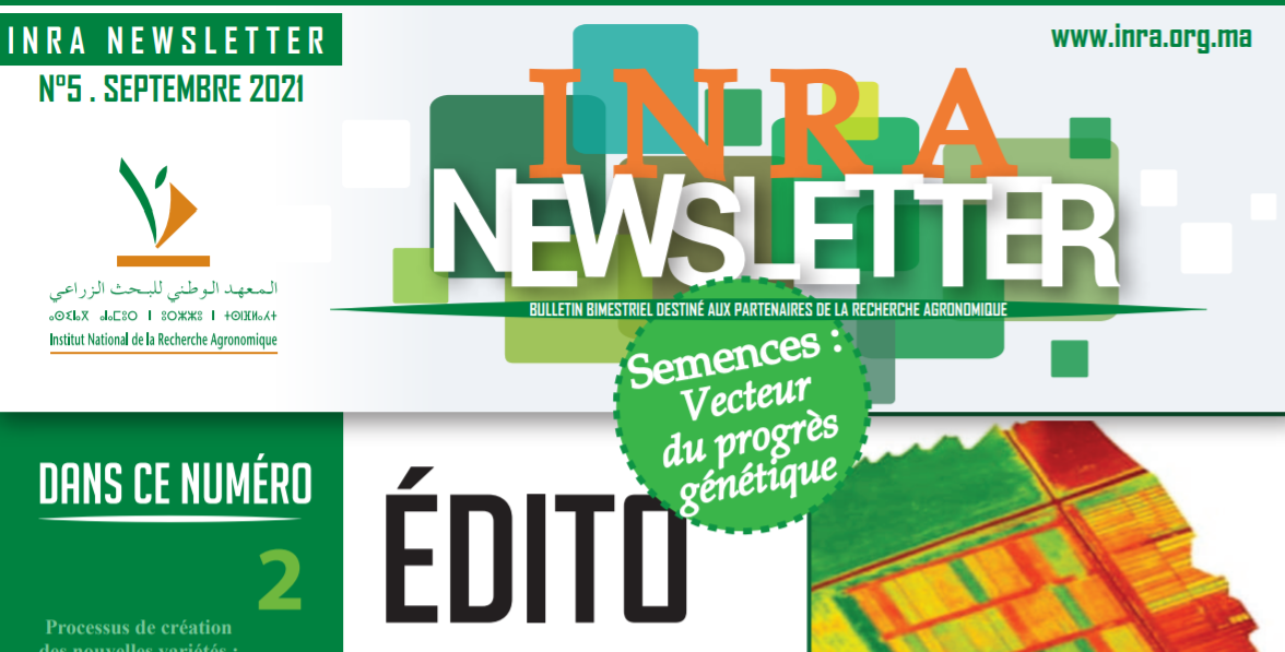 INRA Maroc : la 5ème Newsletter dédiée à la filière des semences est en ligne