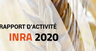 INRA : Parution du rapport d'activités de l'INRA au titre de l'année 2020