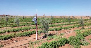 Essaouira-La-technologie-au-service-de-l-économie-en-eau-dans-le-milieu-agricole