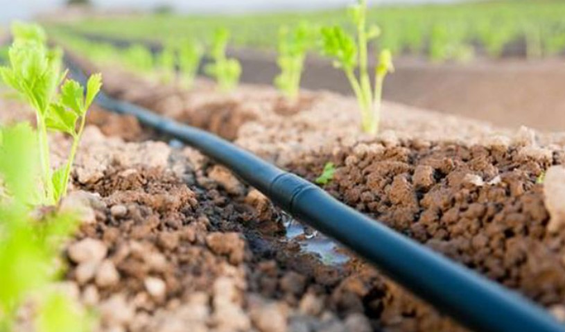 Tiznit : un projet agricole de 15 milliards de DH pour sécuriser l’irrigation de 10.000 hectares