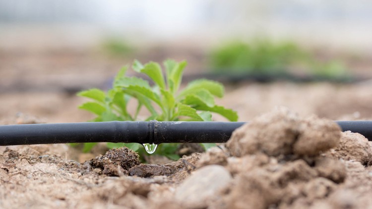 Chichaoua : Des solutions pour l&rsquo;économie d&rsquo;eau d&rsquo;irrigation