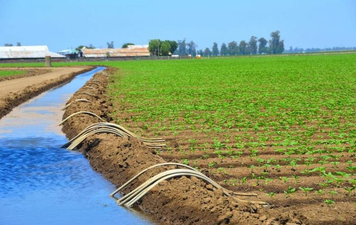 Tanger-Tétouan-Al Hoceima: 3,7 MMDH investis dans l&rsquo;irrigation