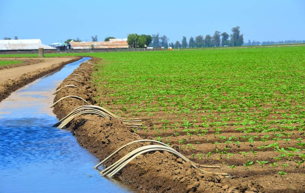 Maroc : L’irrigation améliore la gestion de l’eau face à la sécheresse