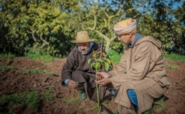Campagne 2020-2021: l&rsquo;accompagnement des agriculteurs est devenu primordial