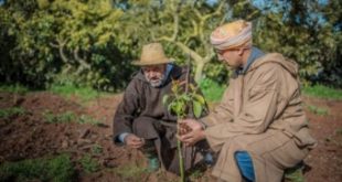Maroc première édition une journée honneur des conseillers agricoles
