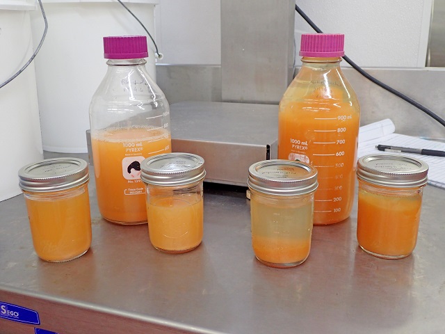 Jus de Cantaloup : Une nouvelle tendance ?