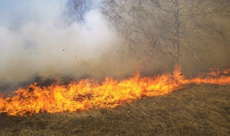Khemisset: Les feux détruisent 22 hectares de terres agricoles