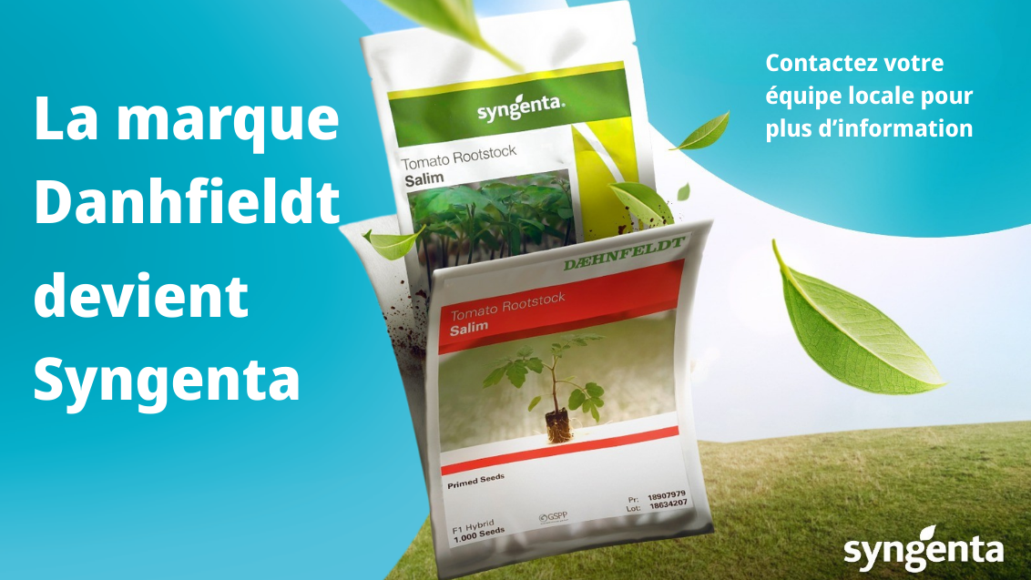 Syngenta Maroc simplifie son offre en intégrant la marque Danhfieldt