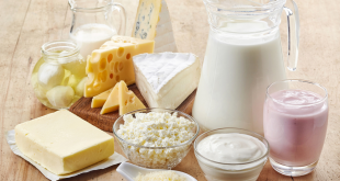 Le Maroc augmente ses importations de lait en provenance UE