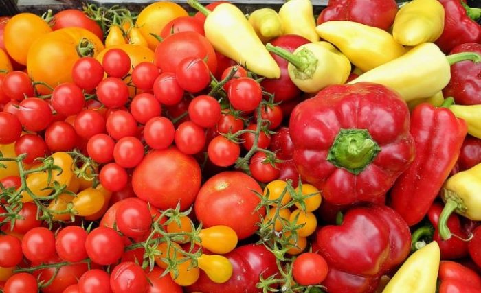 Export légumes : le Maroc renforce sa position avec + 54%