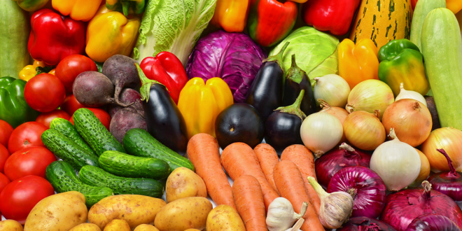 Qatar : les ventes de légumes locaux en hausse de 60% en trois ans