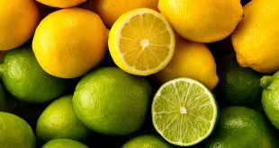 Maroc : La production de limes et de citrons augmente de 9,3% sur un an