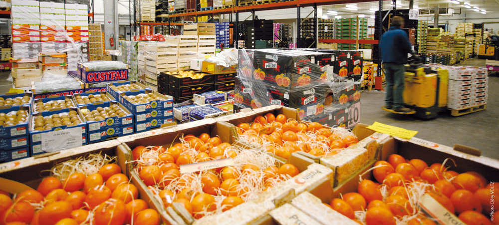 Elalamy garantit un approvisionnement des marchés en quantités suffisantes