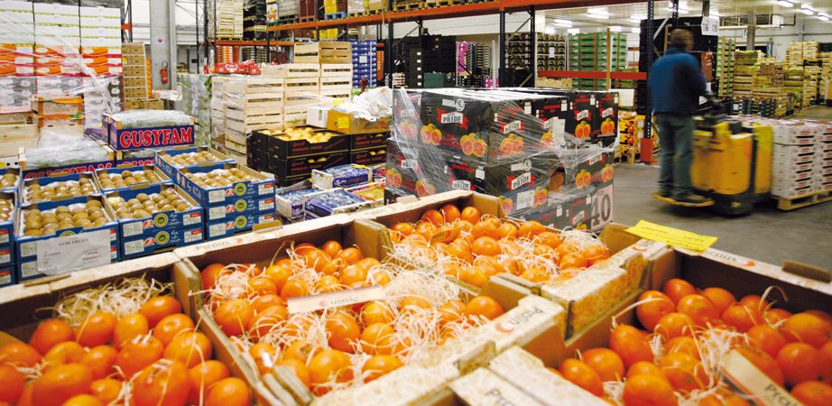 Agadir: plateforme de groupage des fruits et légumes pour les petits producteurs