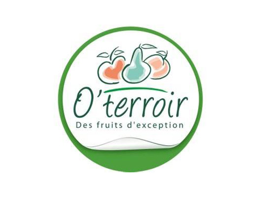 O&rsquo;Terroir devient producteur et distributeur de la pomme bio Candine