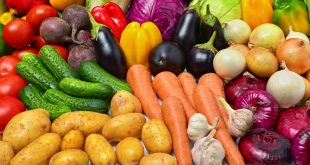 Fruits-et-légumes-Les-exportations-du-Maroc-vers-l-Espagne-en-hausse-de-5-%