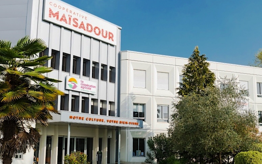 Fusion Maïsadour-Euralis : quel impact pour la filiale Maroc ?