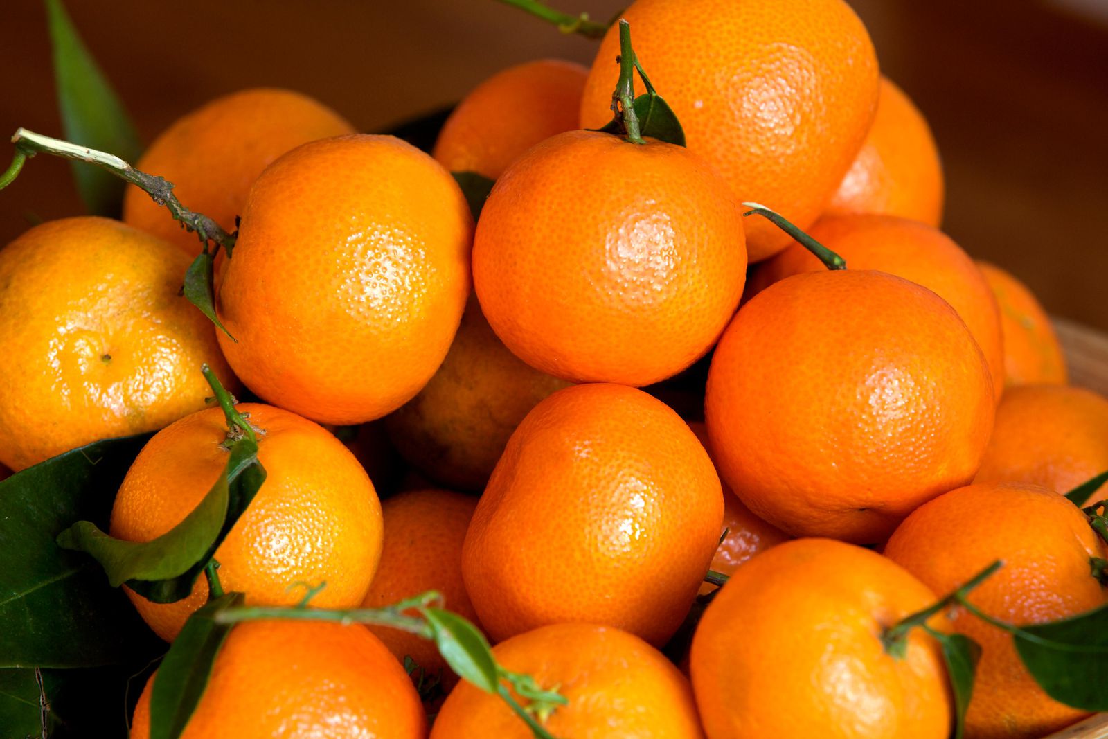 Marché mondial des mandarines : prix, offre, demande
